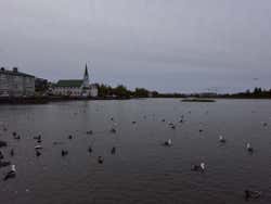 Panorámica del lago Tjörnin