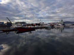 Puerto Viejo de Reikiavik